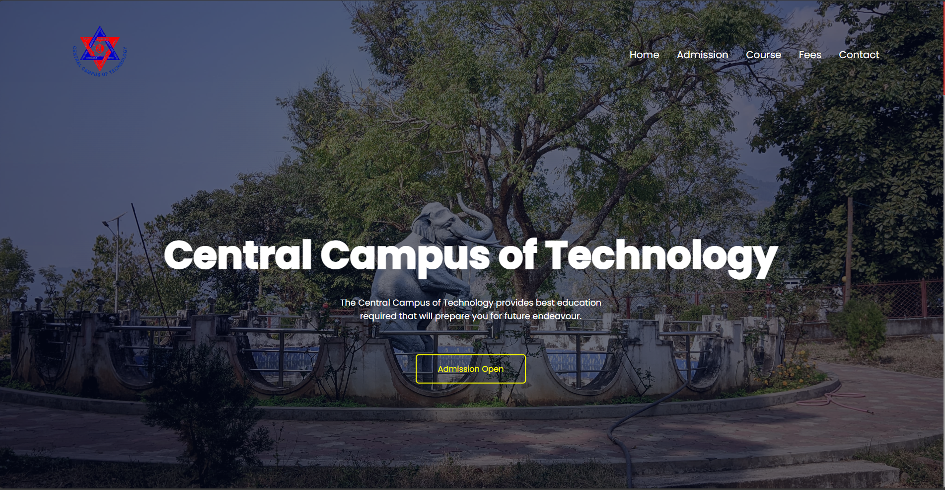 my college